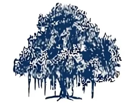 IIIT Hyderabad - International Institute of Information Technology