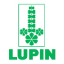 Lupin